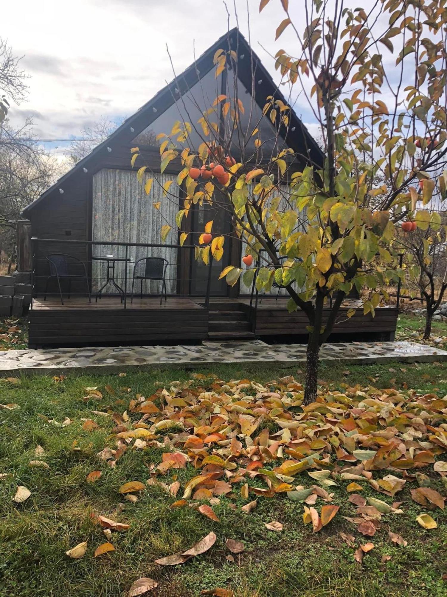 Wood House Villa *